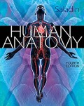 Human anatomy fourth edition